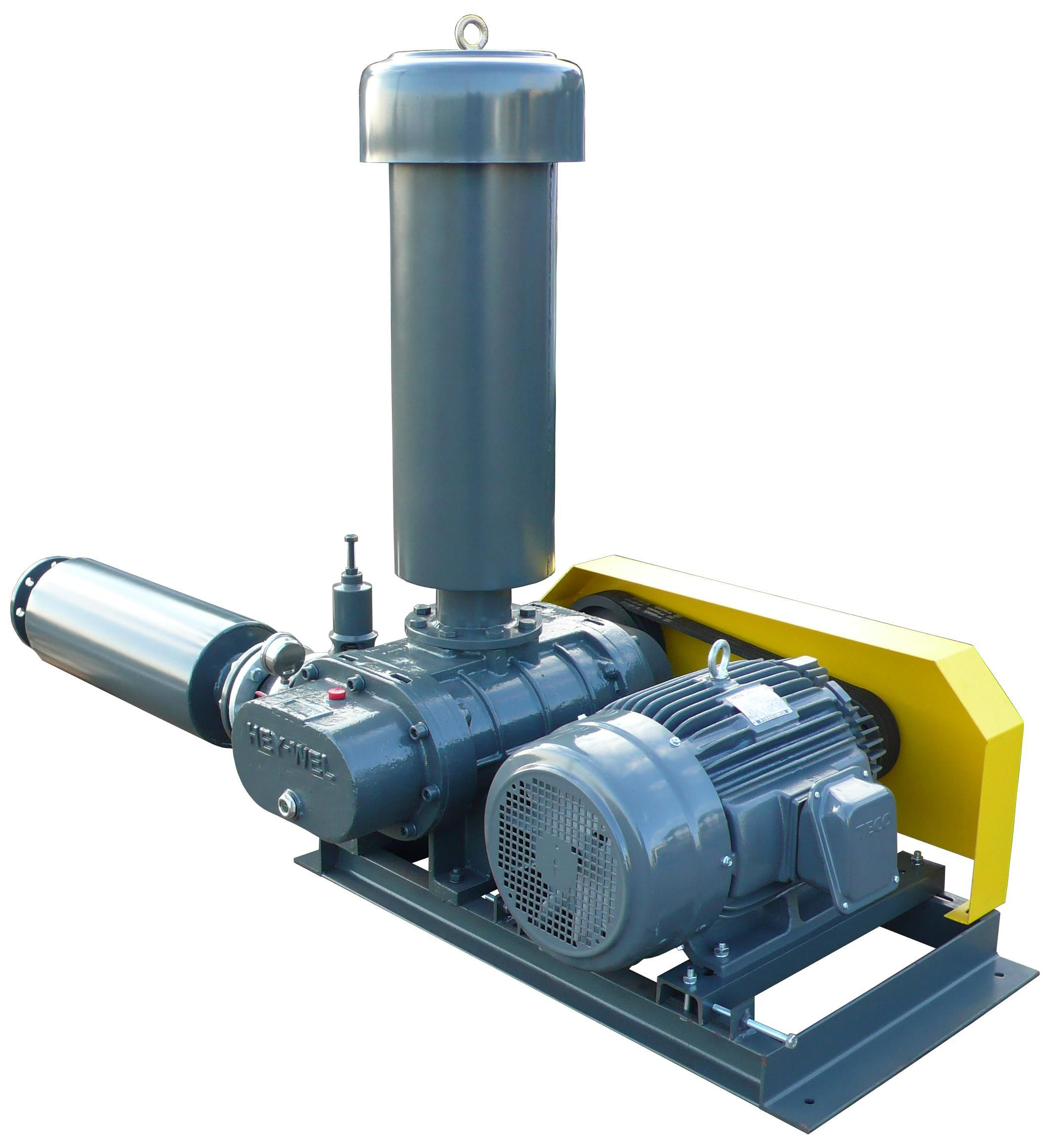 【廣東春鼎】TS-300型羅茨鼓風(fēng)機(jī)_廣東春鼎環(huán)保科技有限公司