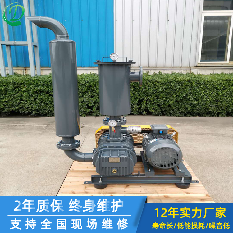 【廣東春鼎】污水處理專(zhuān)用22KW羅茨鼓風(fēng)機(jī)